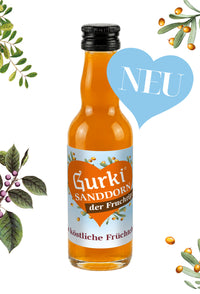 GURKTALER Gurki Mini Sanddorn 12er Packung (12×0,02l=0,24l), 16% vol.